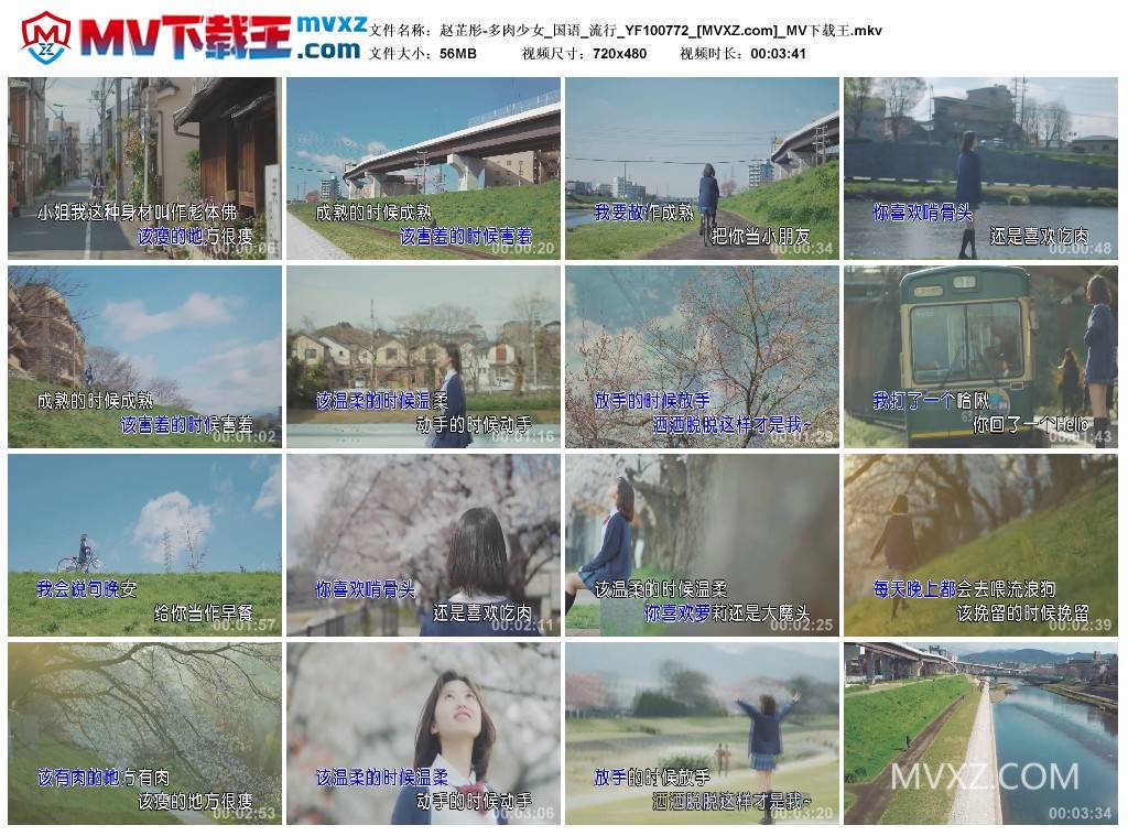 赵芷彤-多肉少女_国语_流行_YF100772